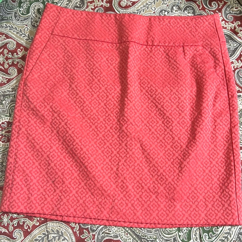 Ann Taylor skirt